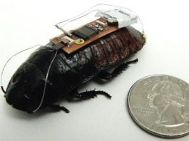 Biobot